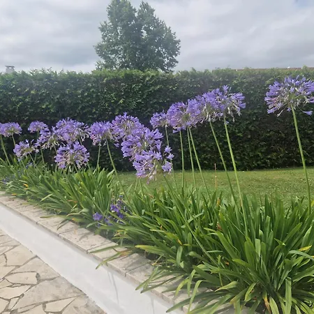 Villa Basque Piscine Chauffee *