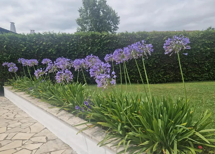 Villa Basque Piscine Chauffee *